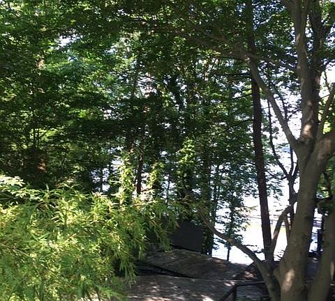 THIS IS TAKEN FROM THE DECK OF THE APT. YOU CAN SEE WHY WE WE CALLED IT THE TREE HOUSE APT.. IT IS LITERALLY WAY UP IN THE TREES.