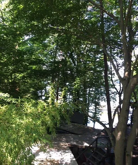 THIS IS TAKEN FROM THE DECK OF THE APT. YOU CAN SEE WHY WE WE CALLED IT THE TREE HOUSE APT.. IT IS LITERALLY WAY UP IN THE TREES.