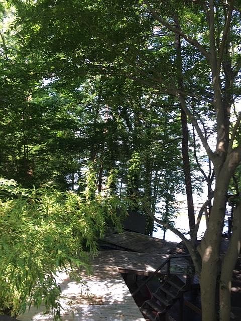 THIS IS TAKEN FROM THE DECK OF THE APT. YOU CAN SEE WHY WE WE CALLED IT THE TREE HOUSE APT.. IT IS LITERALLY WAY UP IN THE TREES.