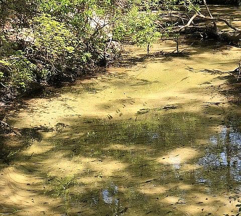 5th image of 12183 River Creek Dr