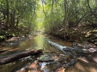 0 County Road 310, Roanoke, AL 36274