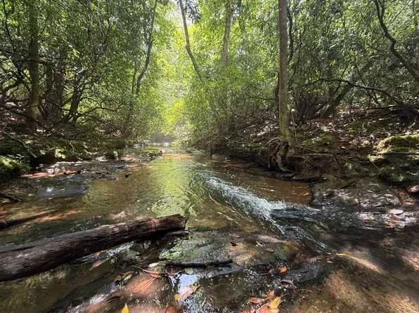 0 County Road 310, Roanoke, AL 36274