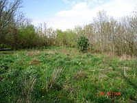 1st image of 10225 Pierson Ln Lot 11