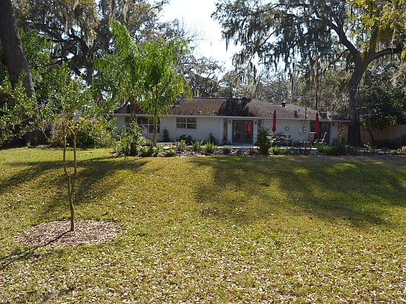 Back yard 