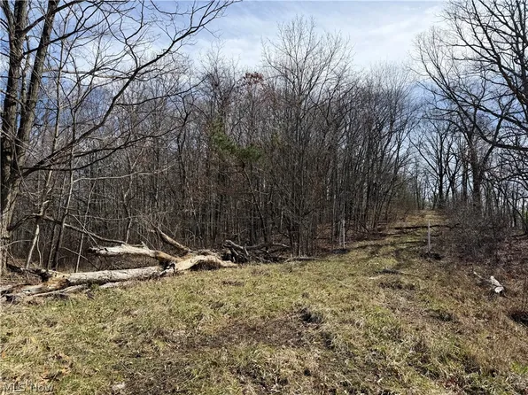 31100 Moravian Trl, Tippecanoe, OH 44699