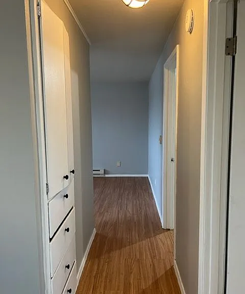 Hallway and Cabinets