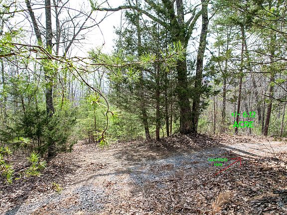 2nd image of LOT TR1 Tall Oak Way