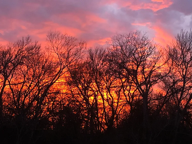 Winter sunset.