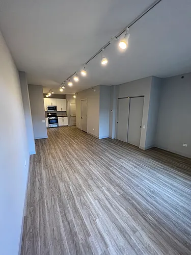 331 S Wells St #1102 Photo 1
