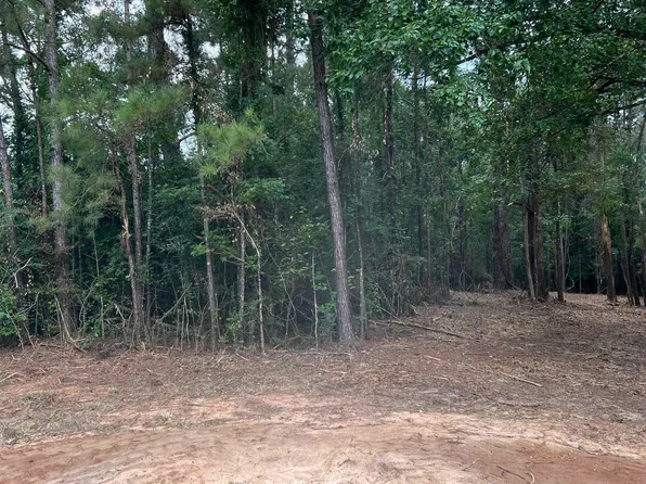 13662 Highway 10, Clinton, LA 70722
