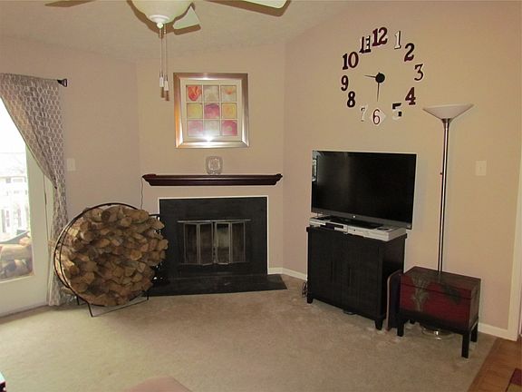 Living Room with Wood Burning Fireplace