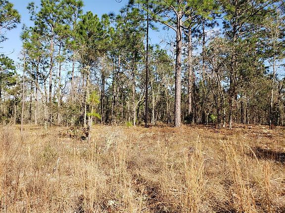 2nd image of SE 128 Ave Lot 32