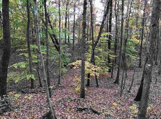 20 Country Woods Dr, Selmer, TN 38375