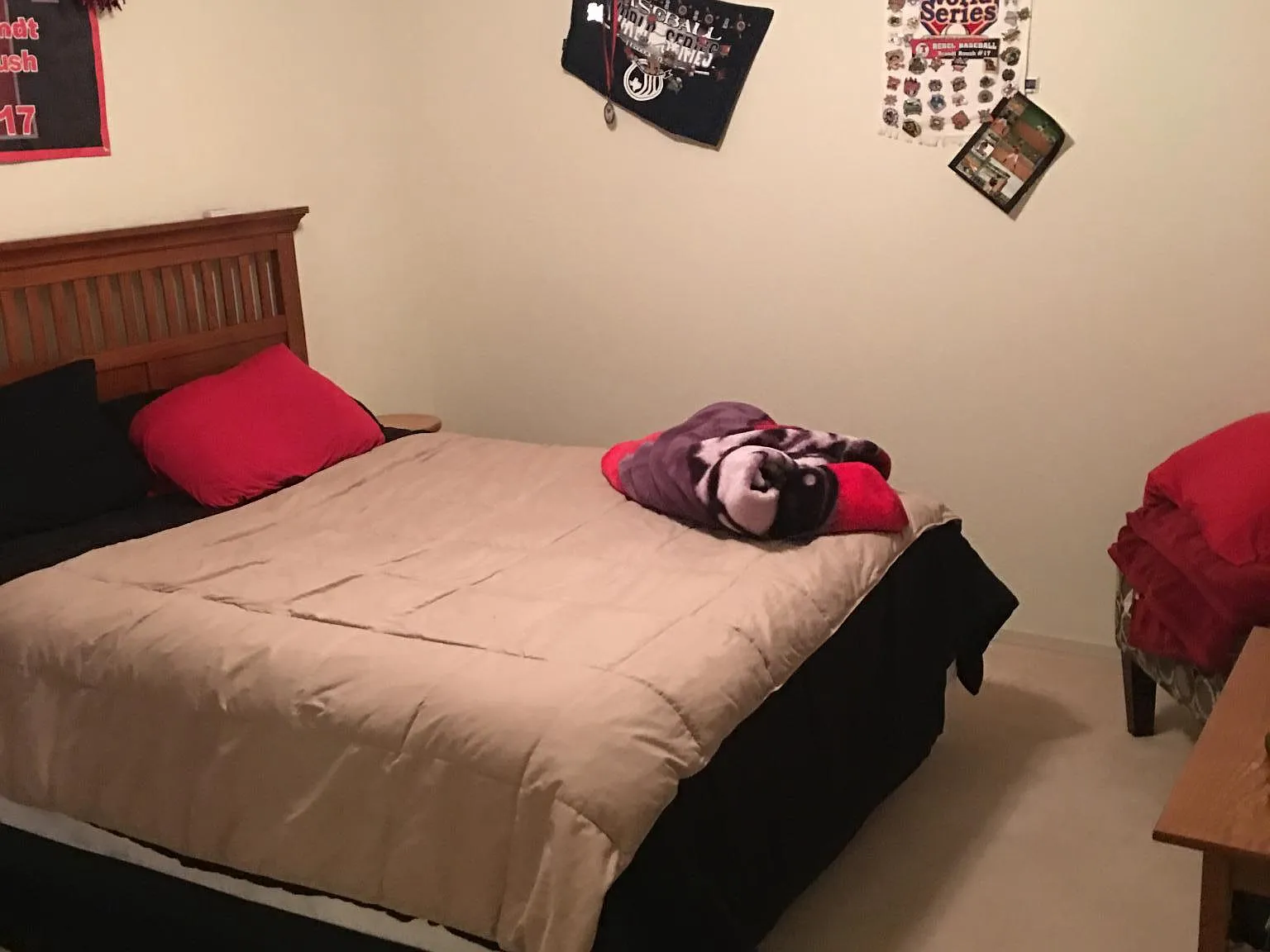 3 bed, 1367 sqft, $2,000 — Photo 4
