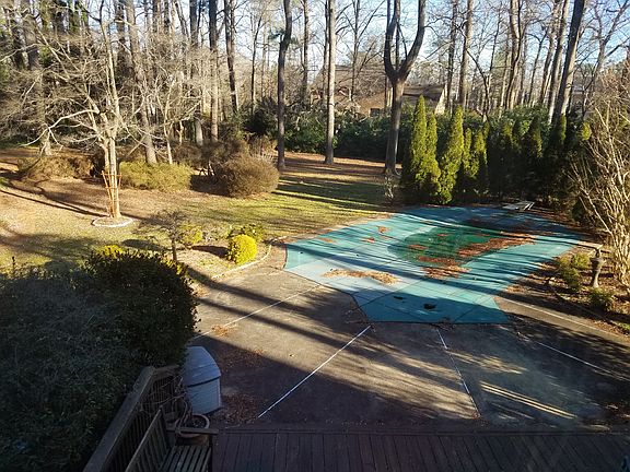 Back yard before clearing