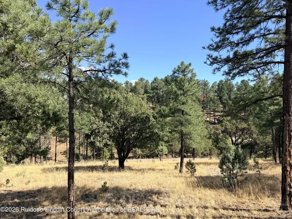 LOT 7 El Camino Dr, Alto, NM 88312