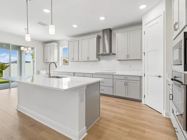 31244 Hayman Loop, Wesley Chapel, FL 33545