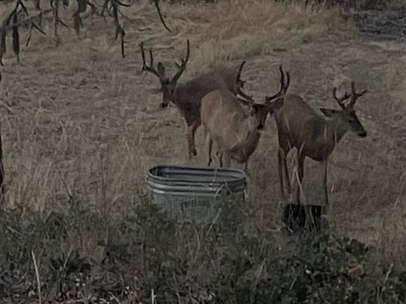 3rd image of 953 Centerville Hwy