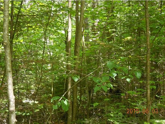 2nd image of 00 Rock Creek Acres