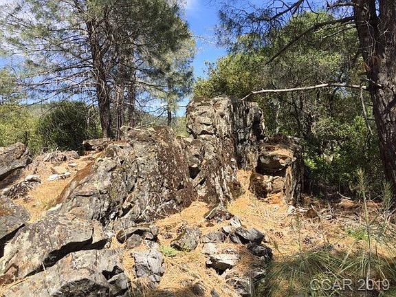 5th image of 1299 Apple Blossom Dr