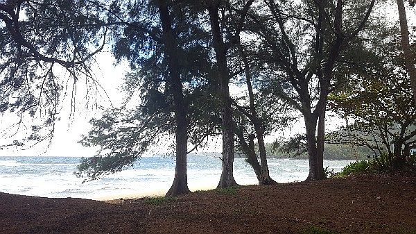 1st image of Kuhio Hwy Lot 86-A