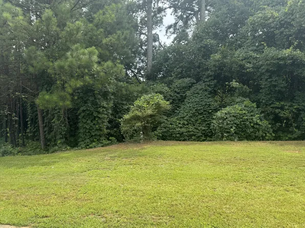 500 McCain Creek Trl, Stockbridge, GA 30281