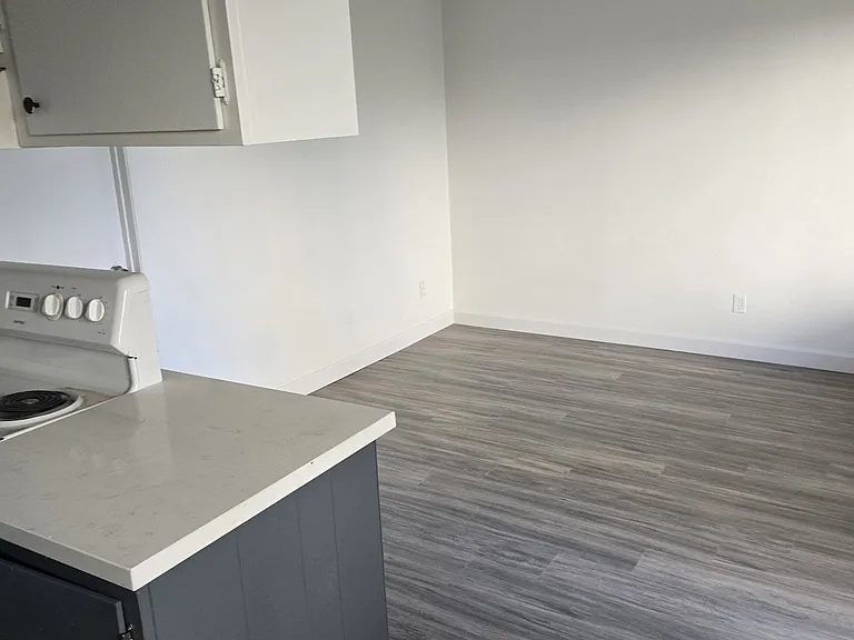 3538 Del Rey St #2 — Photo 10
