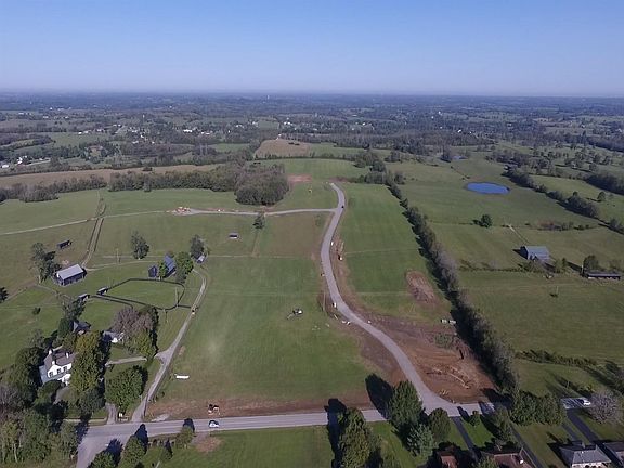 5th image of 203 Grandview Trl