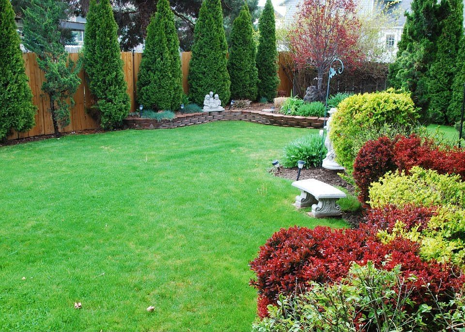 Front Yard