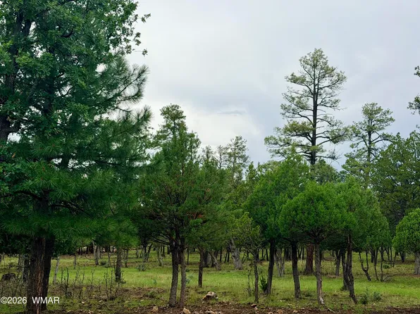 4517 Durango Dr, Happy Jack, AZ 86024