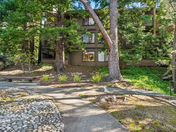 3314 Brittan Ave APT 1, San Carlos, CA 94070