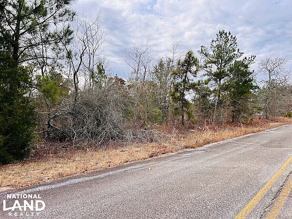 3rd image of 0 Georgia Rd Tract 2