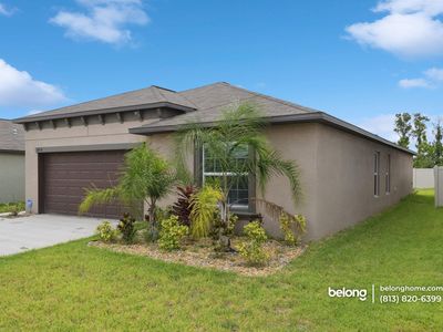 5436 Blue Azure Dr, Wimauma, FL, 33598