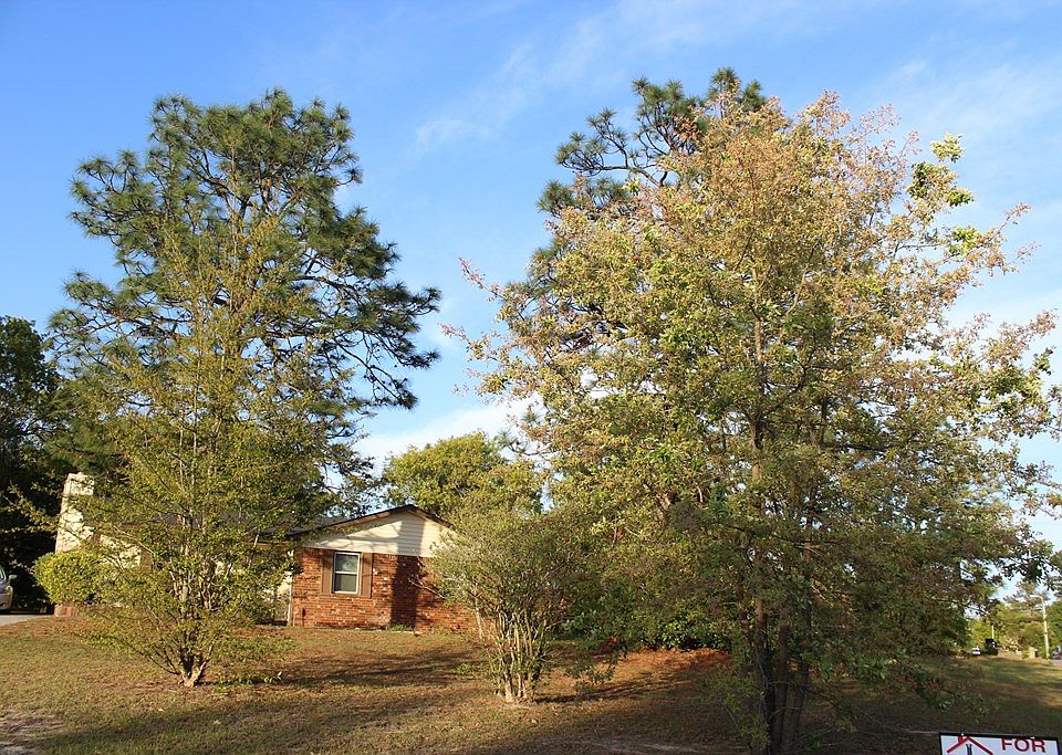 2nd image of 4126 Country Ln