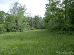 0 Wellman Line, Croswell, MI 48422