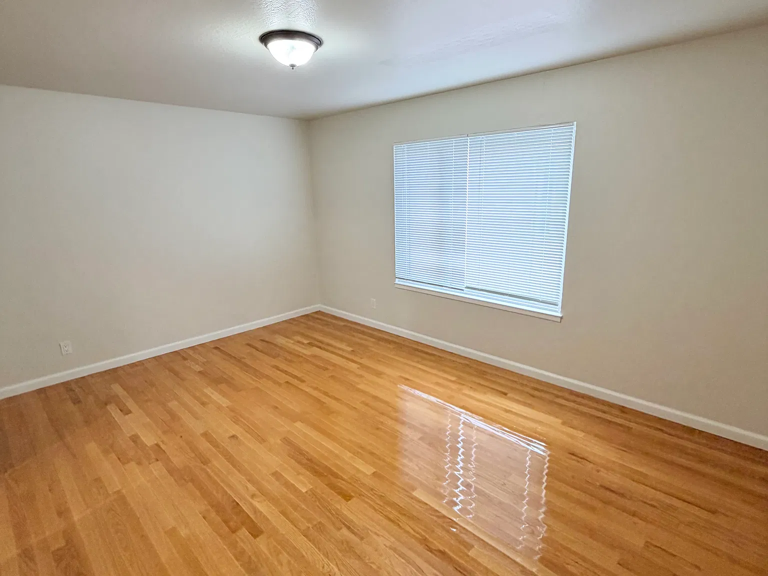 2 bed, 1100 sqft, $5,600 — Photo 3