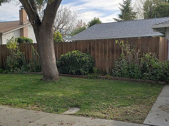 Front Yard