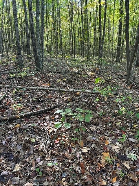 LOT 69 Parkstown Ext, Wilder, TN 38589 | Zillow