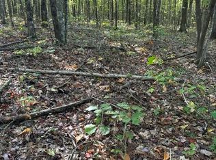 LOT 69 Parkstown Ext, Wilder, TN 38589