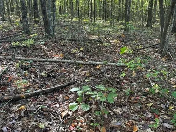 LOT 69 Parkstown Ext, Wilder, TN 38589