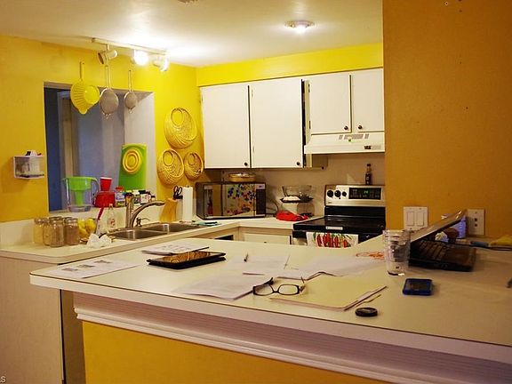Kitchen and Breakfast Counter