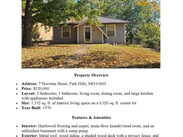 7 Norwine St, Bonne Terre, MO 63628