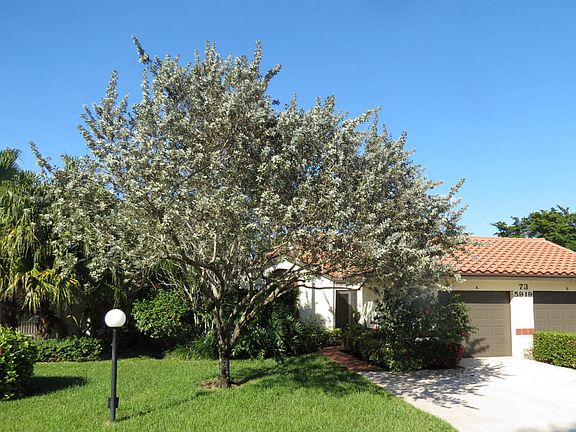 Home For Sale In Palm Chase Lakes