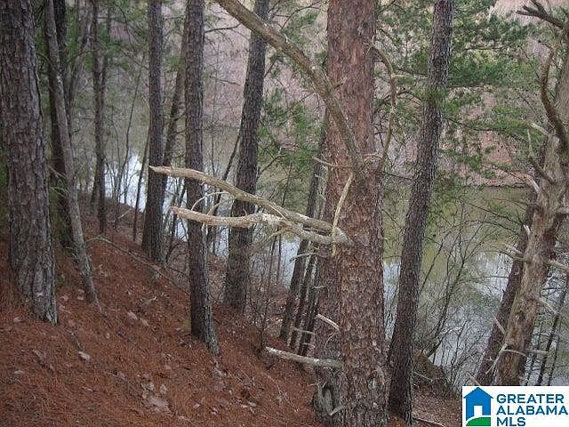 2nd image of Taylors Ferry Rd #13