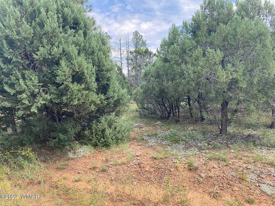 1st image of 5487 Grey Wolf Dr