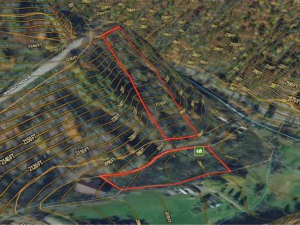 99999 Ashley Dr, Marshall, NC 28753