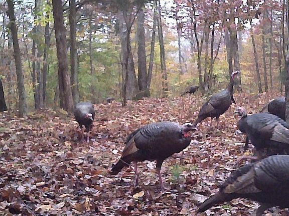 5th image of 694 Napier Rd