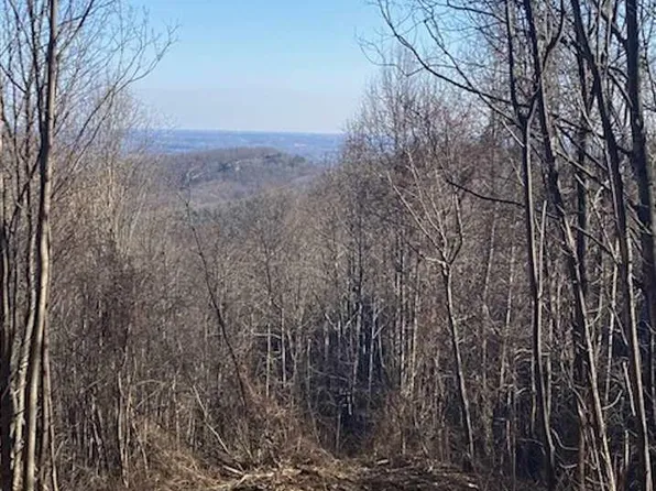 270 Foggy Cut Ln, Landrum, SC 29356