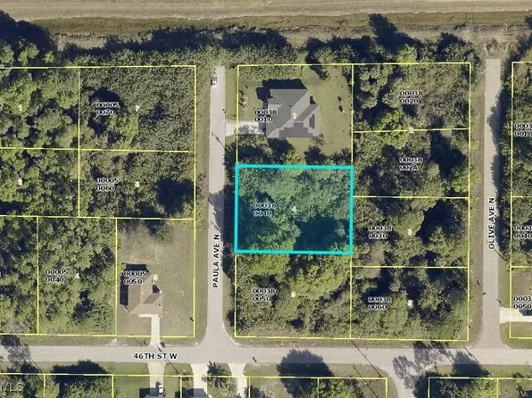 4602 Paula Ave N, Lehigh Acres, FL 33971