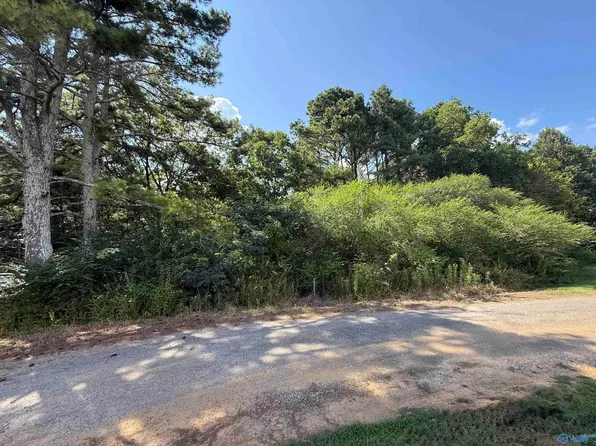 1AC County Road 1038, Vinemont, AL 35179